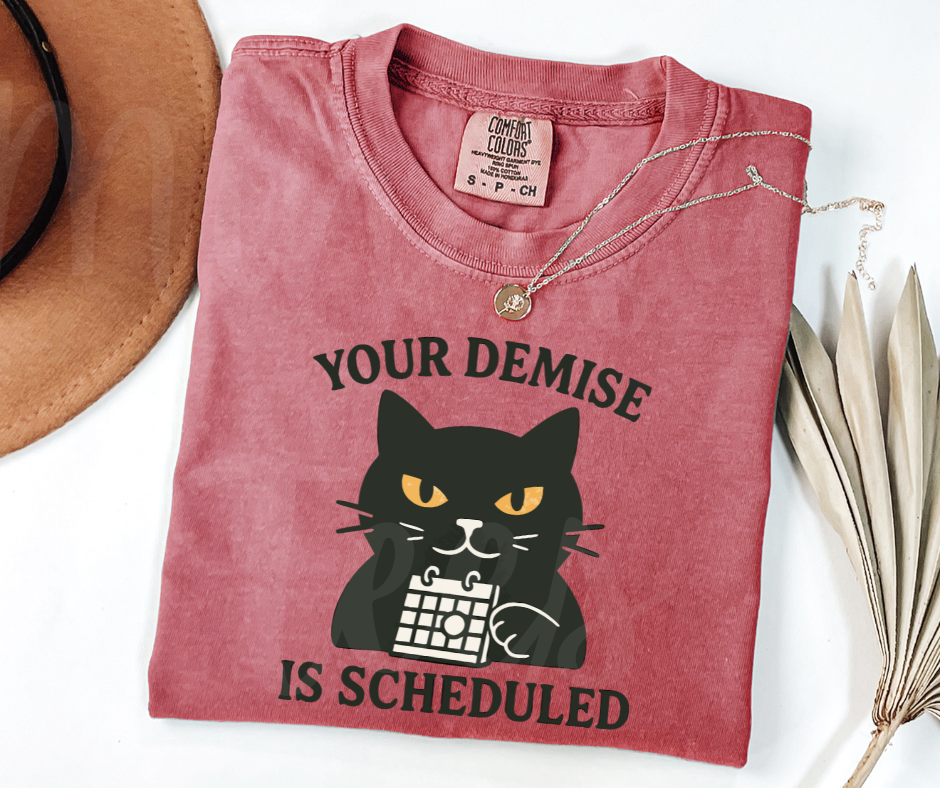 "Your Demise" Sarcastic Cat Design Unisex heavyweight t-shirt