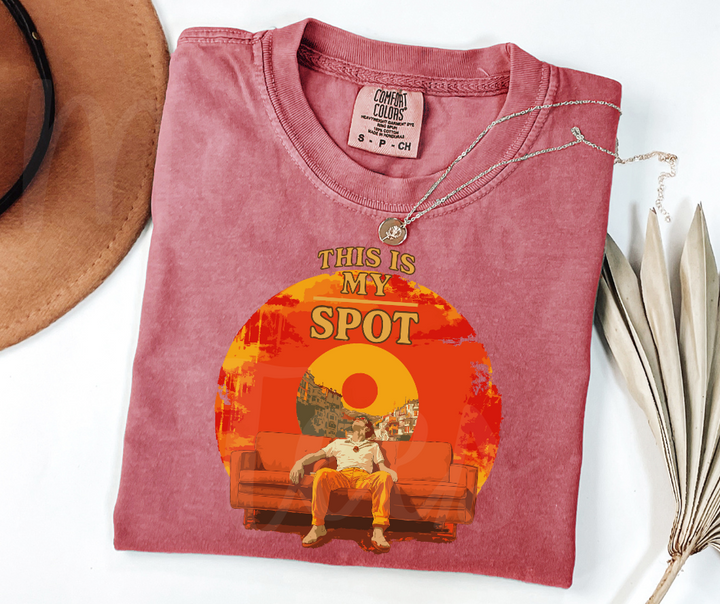 "This is My Spot" Sarcastic Design Unisex heavyweight t-shirt