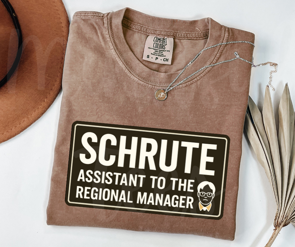 "Assistant To The Regional Manager" Sarcastic Design The Office Inspired Unisex heavyweight t-shirt