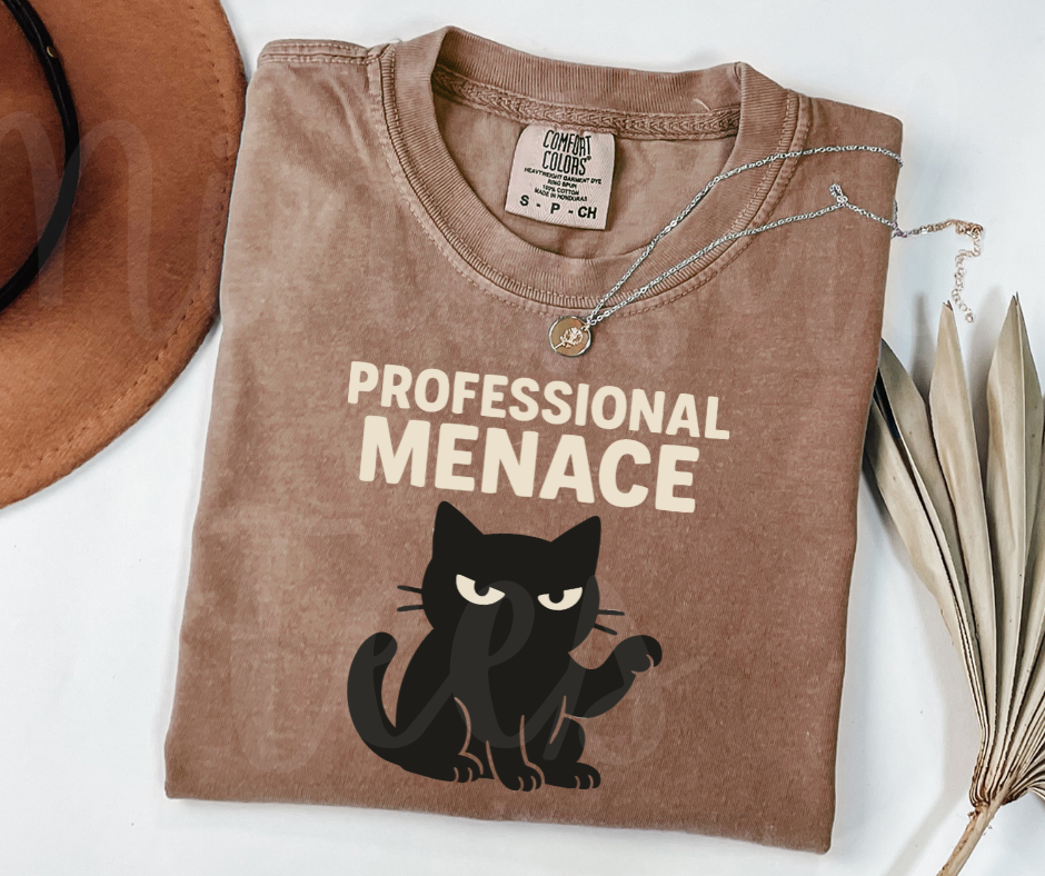 "Professional Menace" Sarcastic Cat Design Unisex heavyweight t-shirt