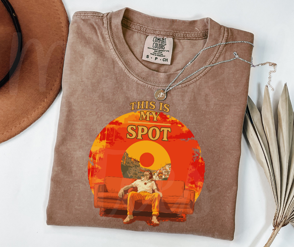 "This is My Spot" Sarcastic Design Unisex heavyweight t-shirt