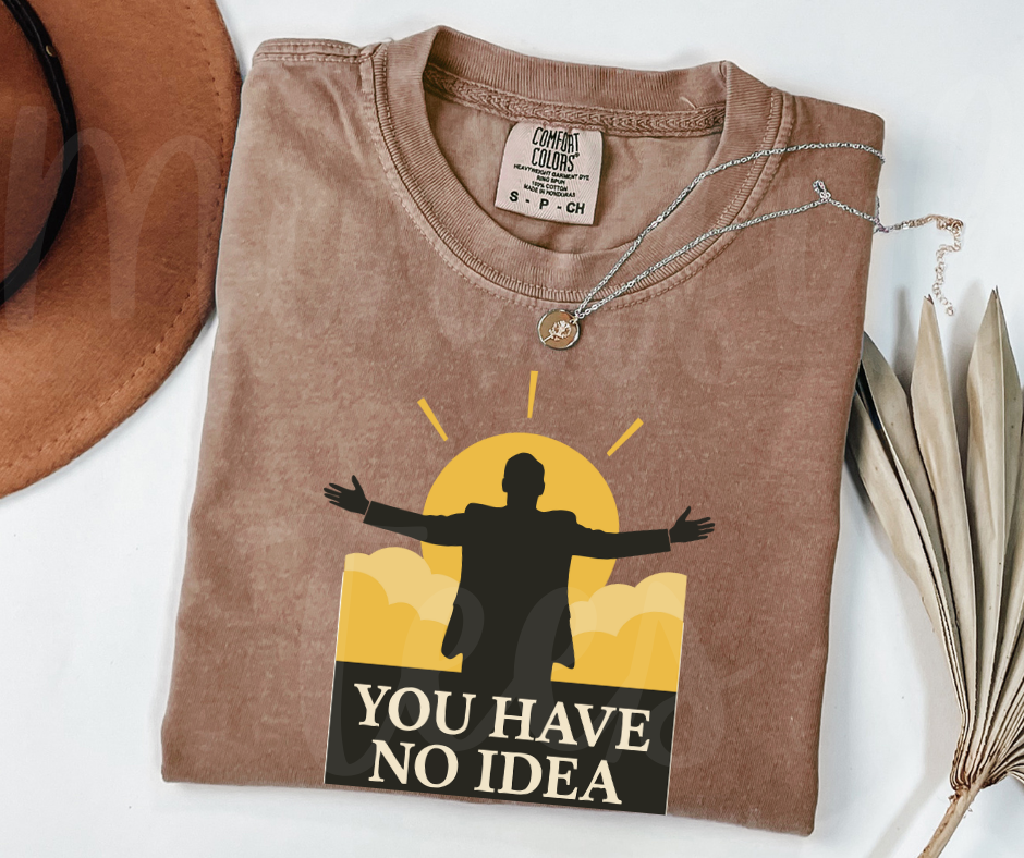"You Have No Idea" Sarcastic Design The Office Inspired Unisex heavyweight t-shirt