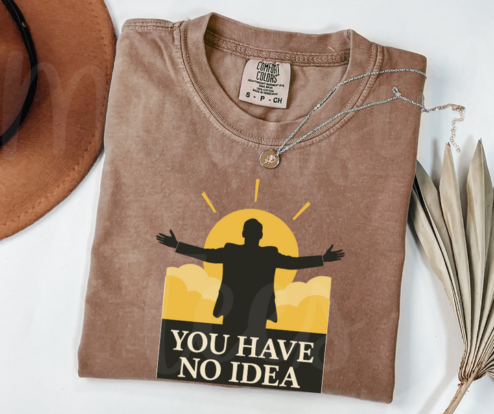 "You Have No Idea" Sarcastic Design The Office Inspired Unisex heavyweight t-shirt
