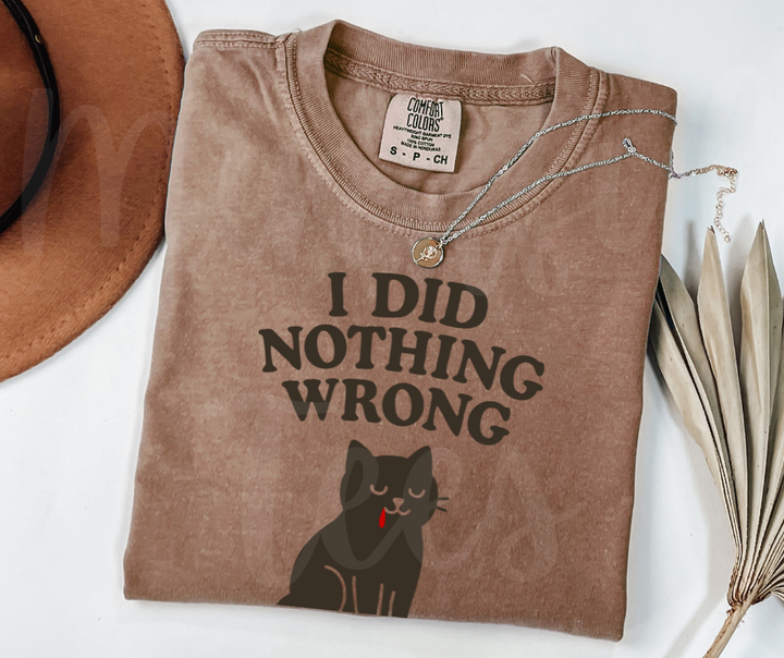"I Did Nothing Wrong" Sarcastic Cat Design Unisex heavyweight t-shirt