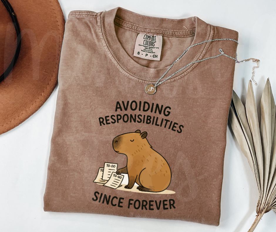 "Avoiding Resposibilities" Sarcastic Design Unisex heavyweight t-shirt
