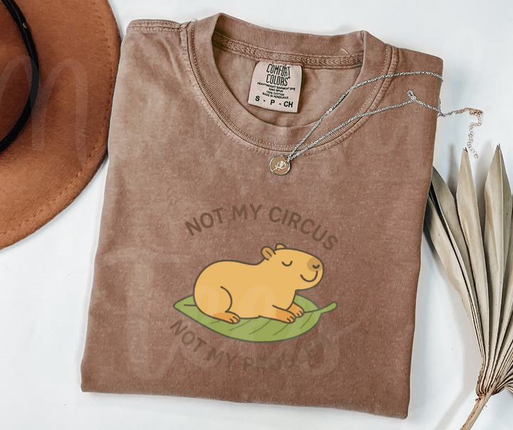 "Not My Circus" Sarcastic Design Unisex heavyweight t-shirt