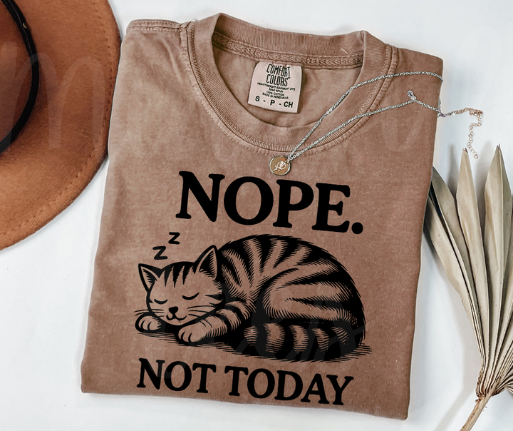 "Not Today" Sarcastic Cat Design Unisex heavyweight t-shirt