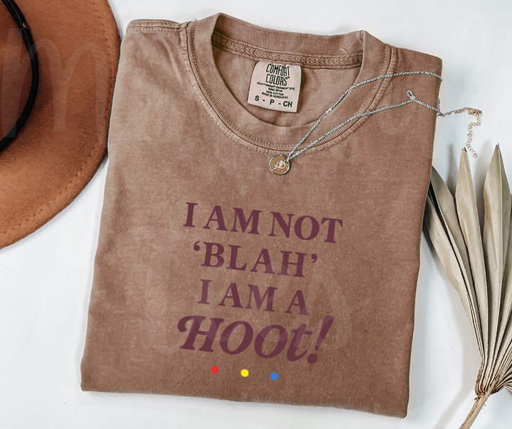 "I Am A Hoot!" Sarcastic Design Friends Inspired Unisex heavyweight t-shirt