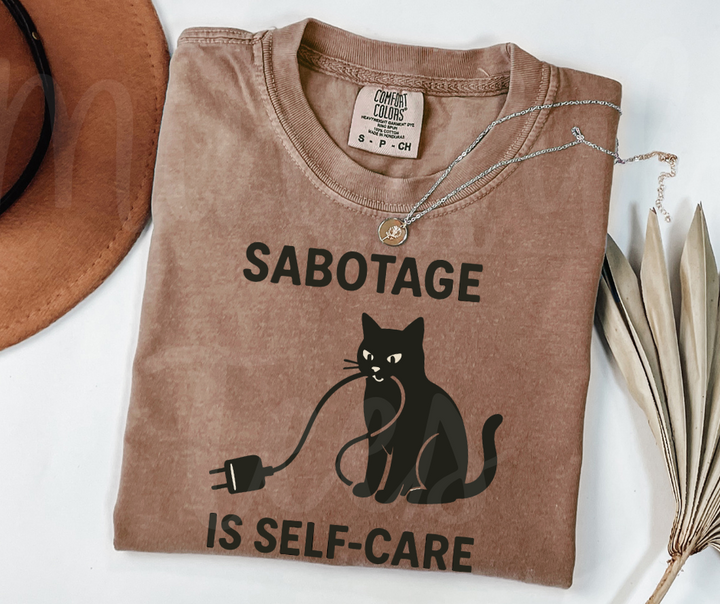 "Self Care" Sarcastic Cat Design Unisex heavyweight t-shirt