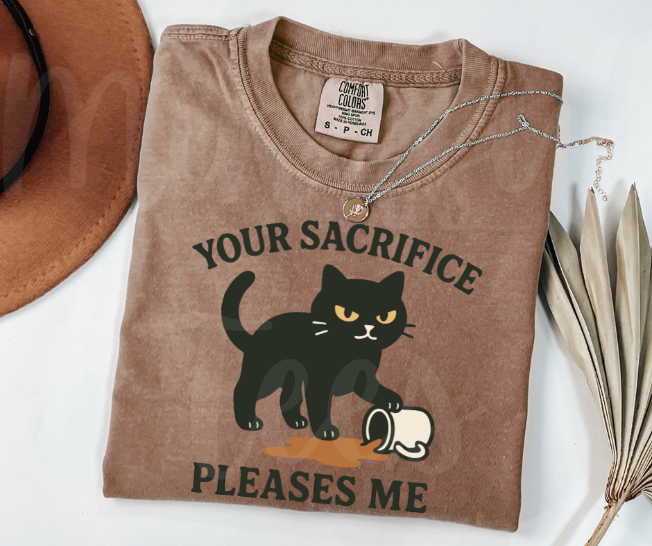"Your Sacrifice Pleases Me" Sarcastic Cat Design Unisex heavyweight t-shirt