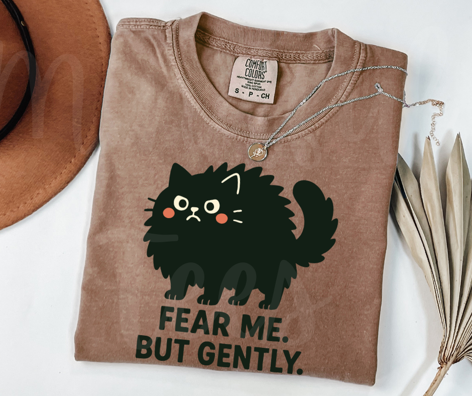 "Fear Me" Sarcastic Cat Design Unisex heavyweight t-shirt