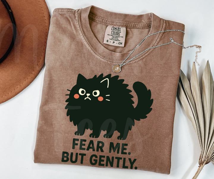 "Fear Me" Sarcastic Cat Design Unisex heavyweight t-shirt