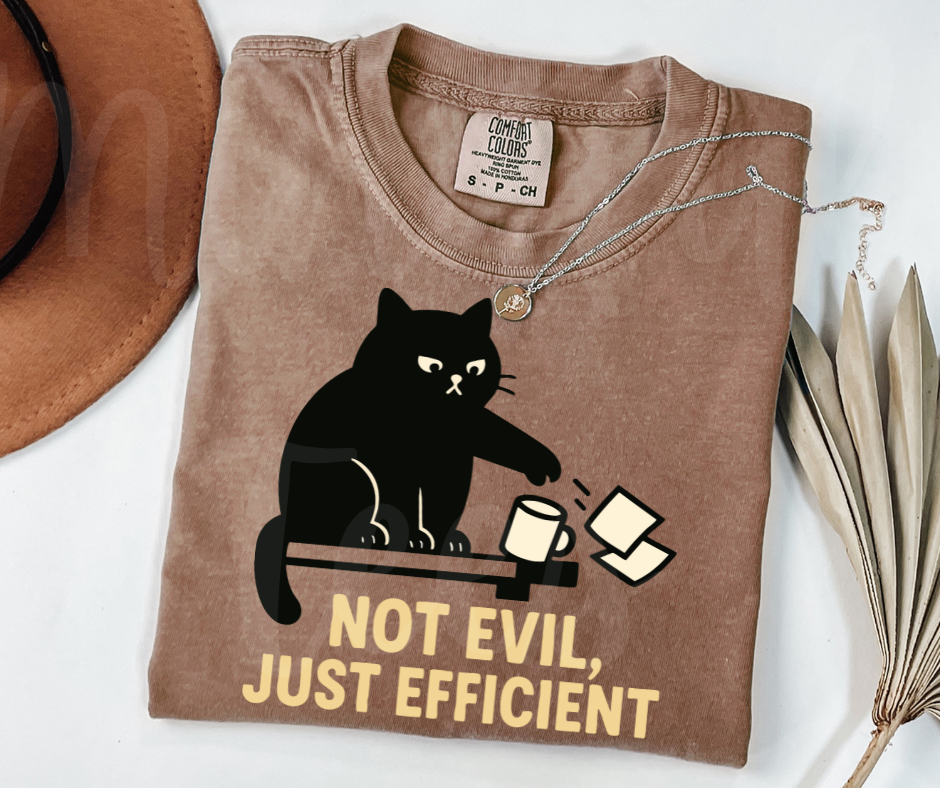 "Not Evil" Sarcastic Cat Design Unisex heavyweight t-shirt