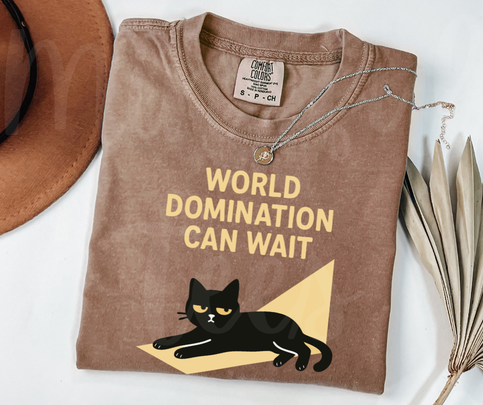 "World Domination Can Wait" Sarcastic Cat Design Unisex heavyweight t-shirt