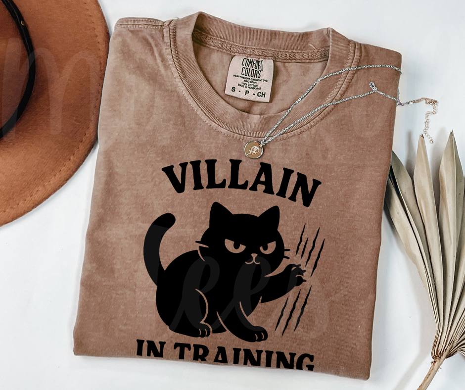 "Villain In Training" Sarcastic Cat Design Unisex heavyweight t-shirt