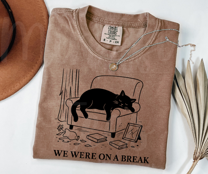 "We Were On A Break" Sarcastic Design Friends Inspired Unisex heavyweight t-shirt