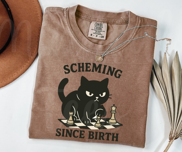 "Scheming" Sarcastic Cat Design Unisex heavyweight t-shirt
