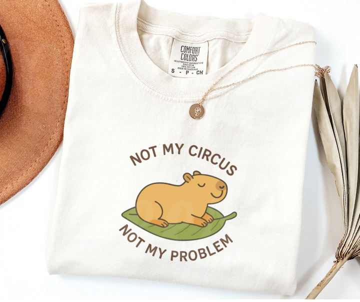 "Not My Circus" Sarcastic Design Unisex heavyweight t-shirt