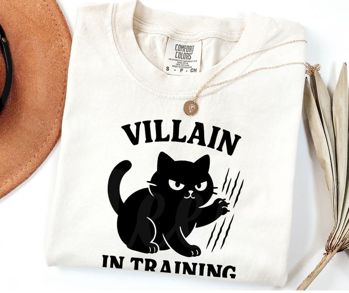 "Villain In Training" Sarcastic Cat Design Unisex heavyweight t-shirt