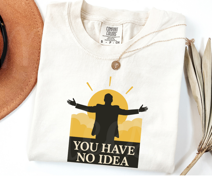"You Have No Idea" Sarcastic Design The Office Inspired Unisex heavyweight t-shirt
