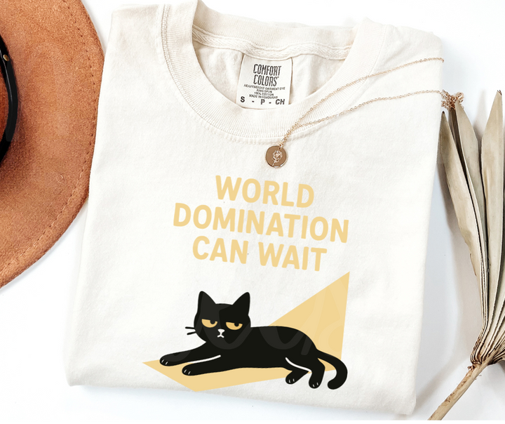 "World Domination Can Wait" Sarcastic Cat Design Unisex heavyweight t-shirt