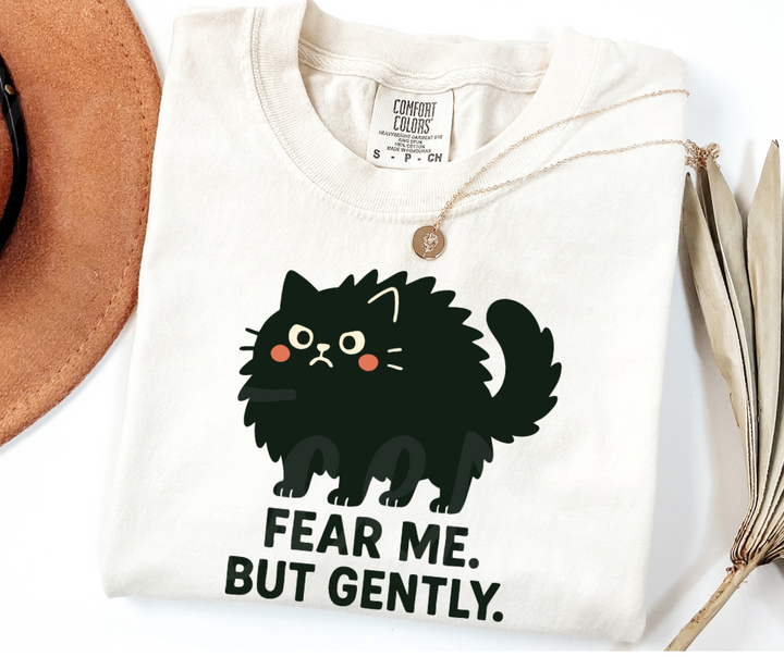 "Fear Me" Sarcastic Cat Design Unisex heavyweight t-shirt