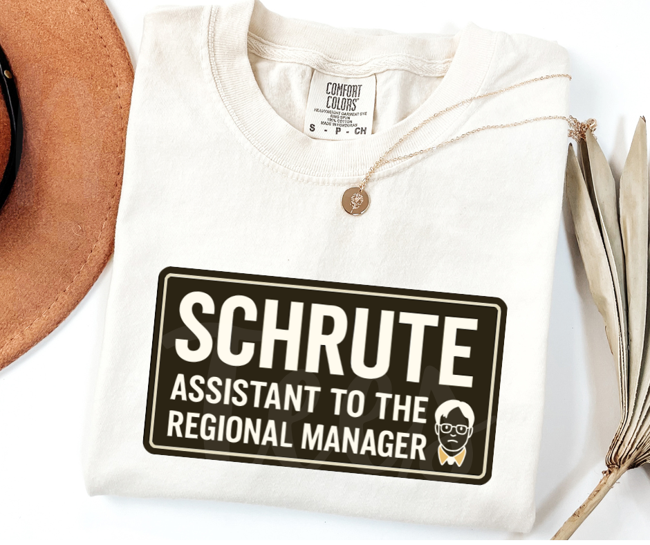 "Assistant To The Regional Manager" Sarcastic Design The Office Inspired Unisex heavyweight t-shirt