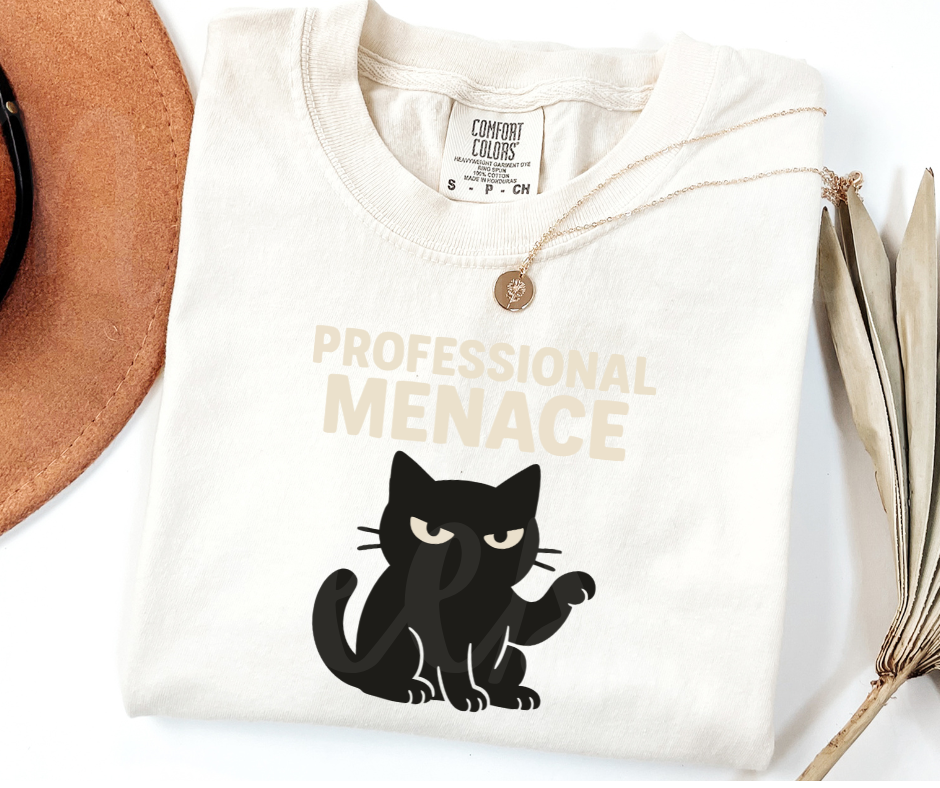 "Professional Menace" Sarcastic Cat Design Unisex heavyweight t-shirt