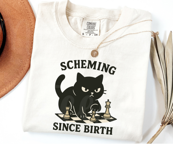 "Scheming" Sarcastic Cat Design Unisex heavyweight t-shirt