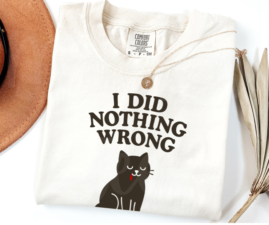 "I Did Nothing Wrong" Sarcastic Cat Design Unisex heavyweight t-shirt