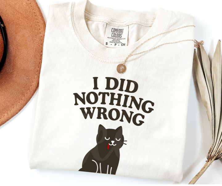 "I Did Nothing Wrong" Sarcastic Cat Design Unisex heavyweight t-shirt