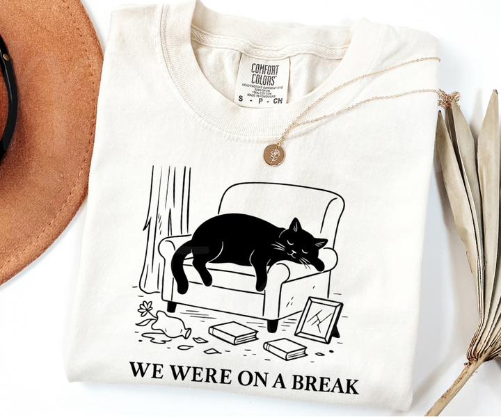 "We Were On A Break" Sarcastic Design Friends Inspired Unisex heavyweight t-shirt