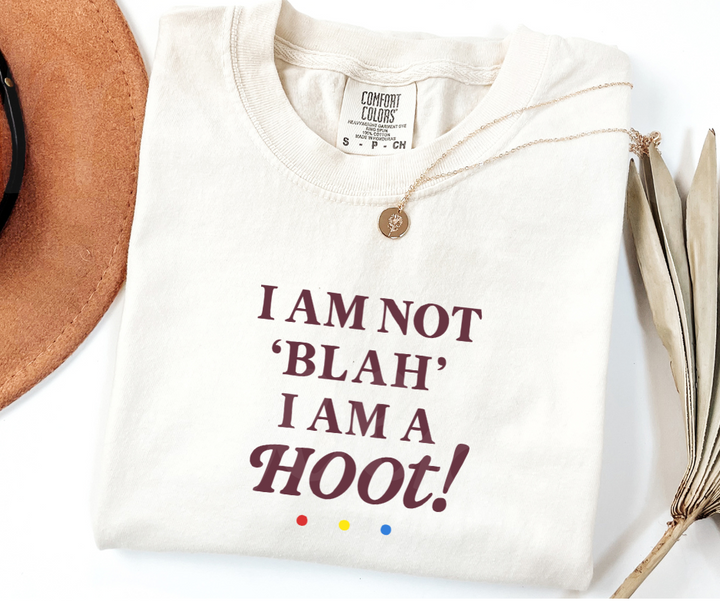 "I Am A Hoot!" Sarcastic Design Friends Inspired Unisex heavyweight t-shirt