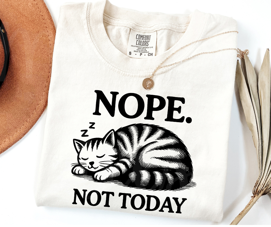 "Not Today" Sarcastic Cat Design Unisex heavyweight t-shirt