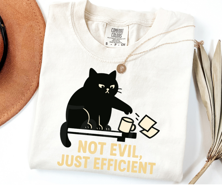 "Not Evil" Sarcastic Cat Design Unisex heavyweight t-shirt