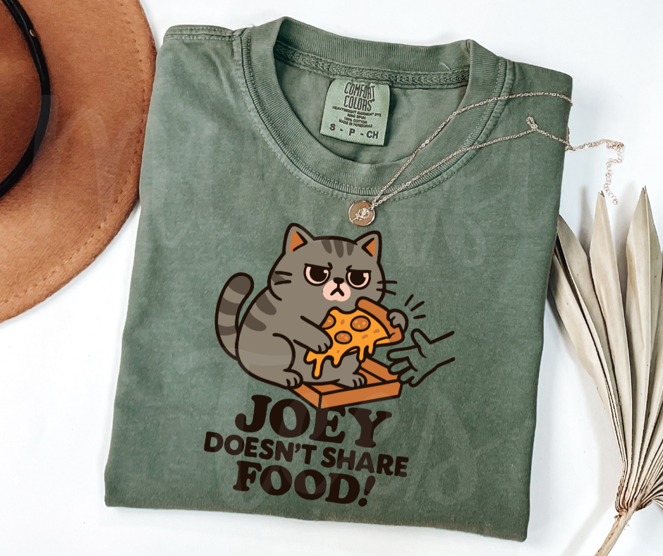 "Joey Doesn't Share Food" Sarcastic Design Friends Inspired Unisex heavyweight t-shirt