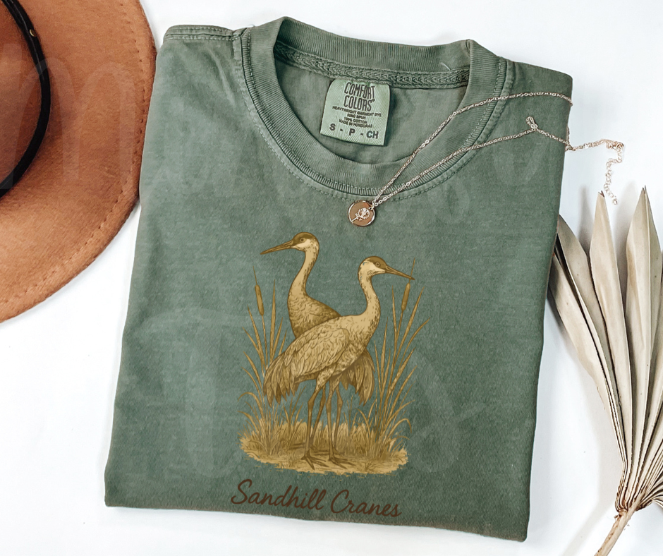 "Sandhill Cranes" Birdwatching Design Birds and Nature Inspired Unisex heavyweight t-shirt