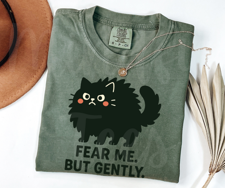"Fear Me" Sarcastic Cat Design Unisex heavyweight t-shirt