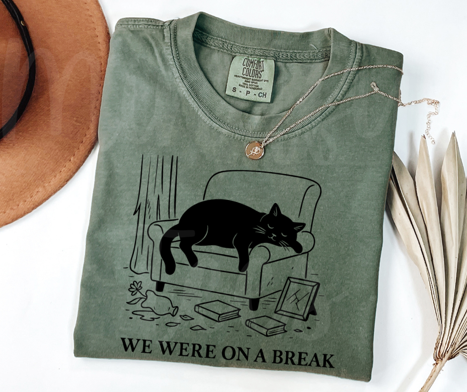 "We Were On A Break" Sarcastic Design Friends Inspired Unisex heavyweight t-shirt