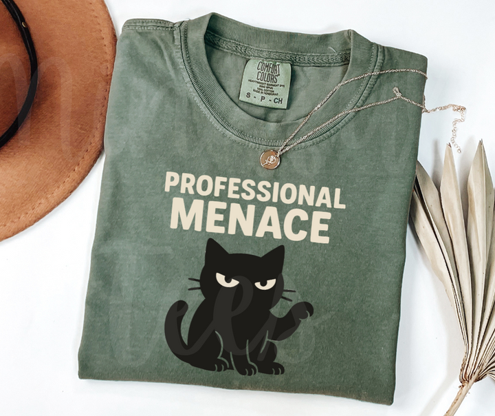 "Professional Menace" Sarcastic Cat Design Unisex heavyweight t-shirt