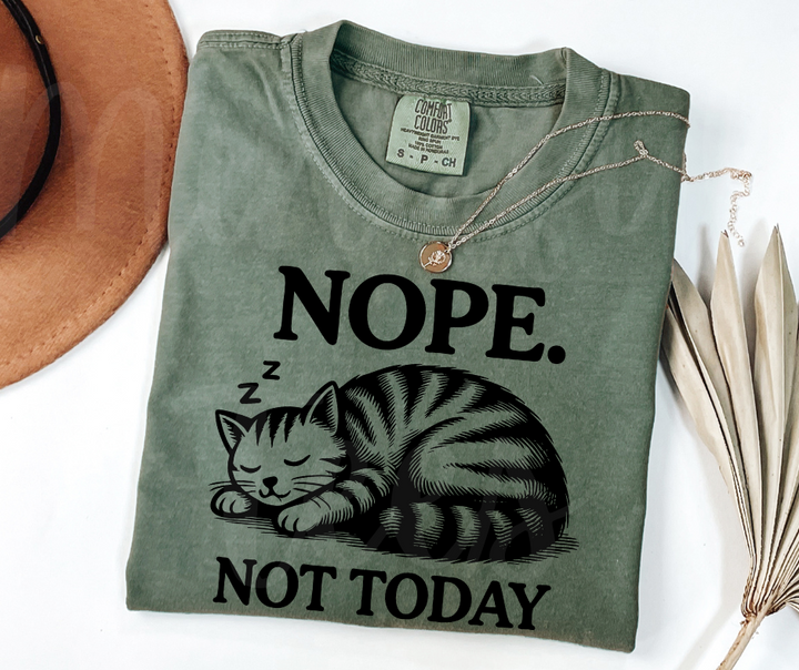 "Not Today" Sarcastic Cat Design Unisex heavyweight t-shirt