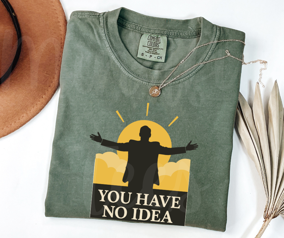"You Have No Idea" Sarcastic Design The Office Inspired Unisex heavyweight t-shirt