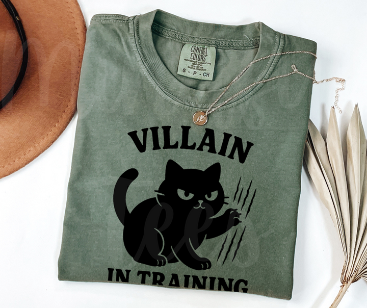 "Villain In Training" Sarcastic Cat Design Unisex heavyweight t-shirt
