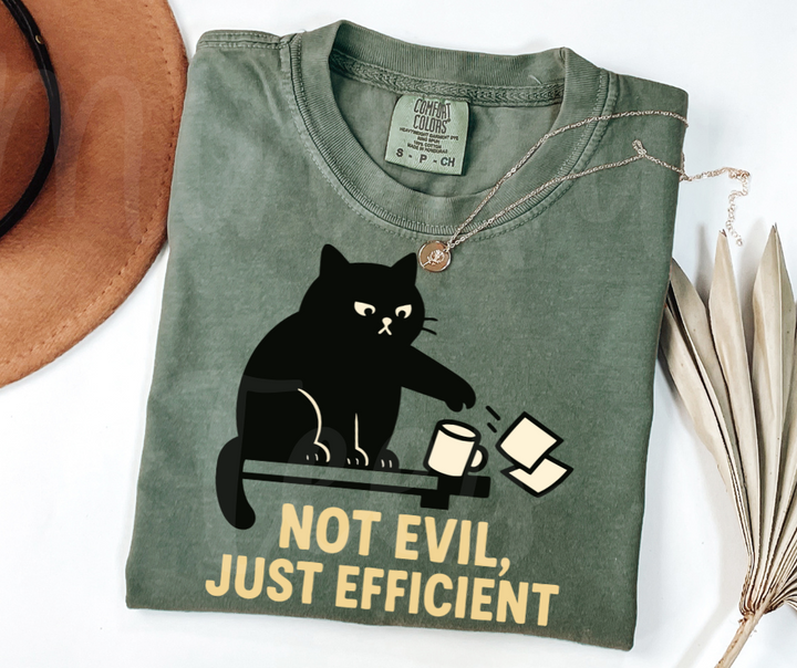 "Not Evil" Sarcastic Cat Design Unisex heavyweight t-shirt