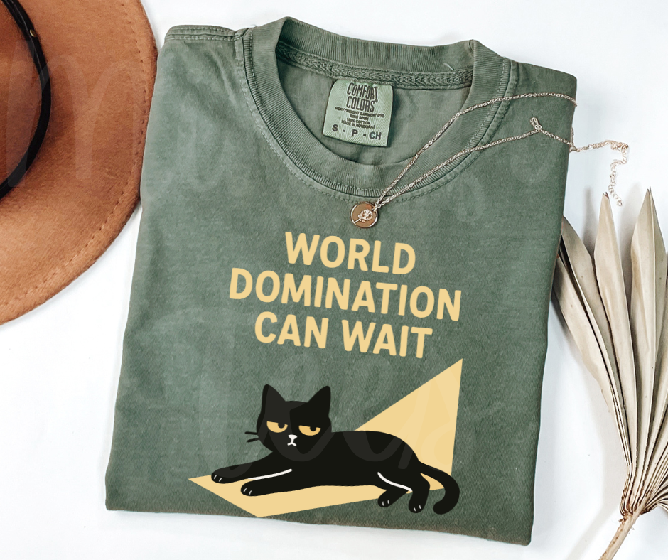 "World Domination Can Wait" Sarcastic Cat Design Unisex heavyweight t-shirt