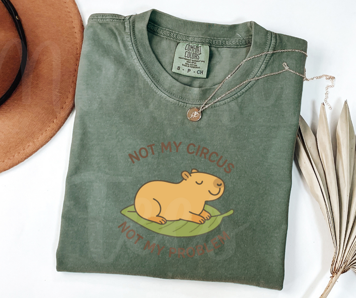 "Not My Circus" Sarcastic Design Unisex heavyweight t-shirt