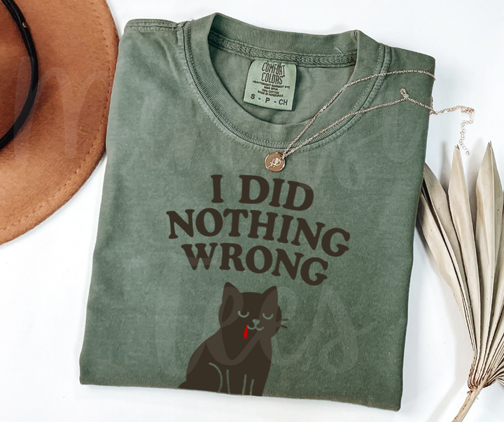 "I Did Nothing Wrong" Sarcastic Cat Design Unisex heavyweight t-shirt