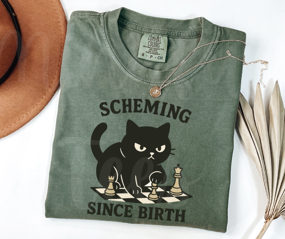 "Scheming" Sarcastic Cat Design Unisex heavyweight t-shirt