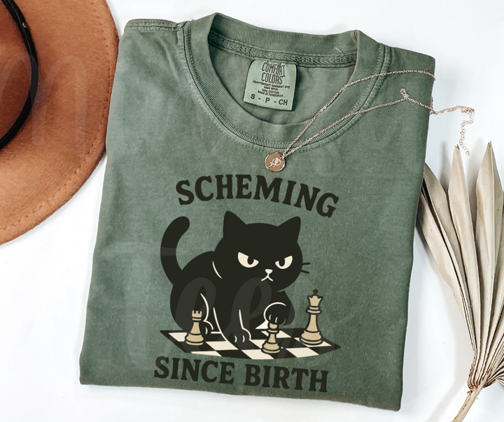 "Scheming" Sarcastic Cat Design Unisex heavyweight t-shirt
