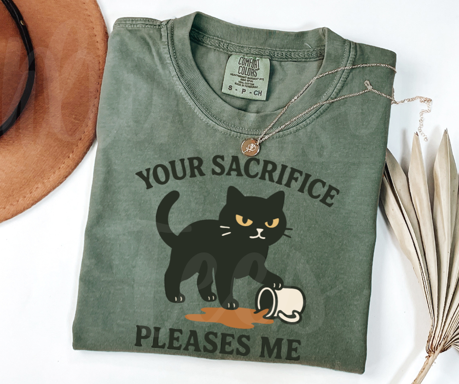 "Your Sacrifice Pleases Me" Sarcastic Cat Design Unisex heavyweight t-shirt